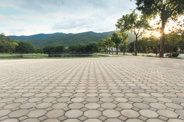 Best Driveway Paver Repair  in Alpine, TX